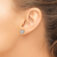 Downloaded from Shopify for use with Vendor ID (1323) and Product ID (10069633990963).
