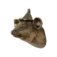Downloaded from Shopify for use with Vendor ID (199) and Product ID (10407119126822).