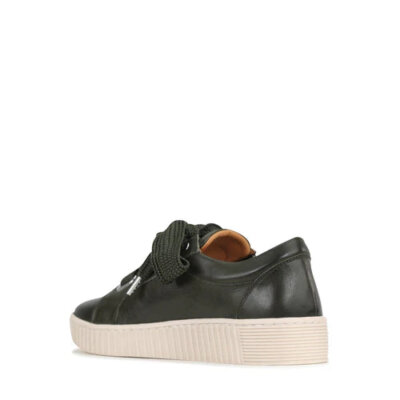 Downloaded from Shopify for use with Vendor ID (369) and Product ID (9903745040631). Downloaded from Shopify for use with Vendor ID (369) and Product ID (9903745040631).