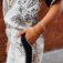 Downloaded from Shopify for use with Vendor ID (129) and Product ID (9134481244386).