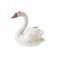 Downloaded from Shopify for use with Vendor ID (199) and Product ID (10431988957478).