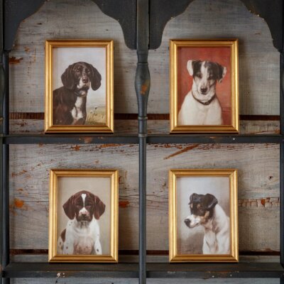 Downloaded from Shopify for use with Vendor ID (199) and Product ID (10466521841958). Downloaded from Shopify for use with Vendor ID (199) and Product ID (10466521841958).