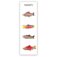 Downloaded from Shopify for use with Vendor ID (26) and Product ID (10404104634646).