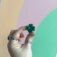 Downloaded from Shopify for use with Vendor ID (26) and Product ID (10435018752278).