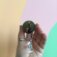 Downloaded from Shopify for use with Vendor ID (26) and Product ID (10447221686550).