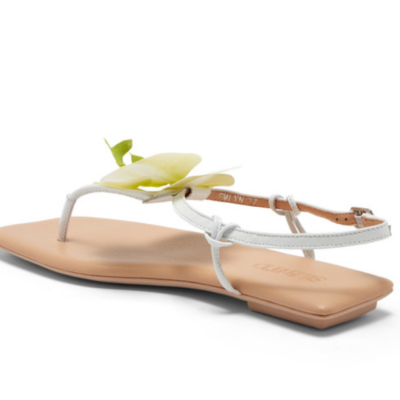 Downloaded from Shopify for use with Vendor ID (369) and Product ID (9920673087735). Downloaded from Shopify for use with Vendor ID (369) and Product ID (9920673087735).