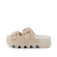 Downloaded from Shopify for use with Vendor ID (369) and Product ID (9924569858295).
