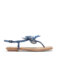 Downloaded from Shopify for use with Vendor ID (369) and Product ID (9931514806519).