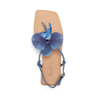 Downloaded from Shopify for use with Vendor ID (369) and Product ID (9931514806519). Downloaded from Shopify for use with Vendor ID (369) and Product ID (9931514806519).
