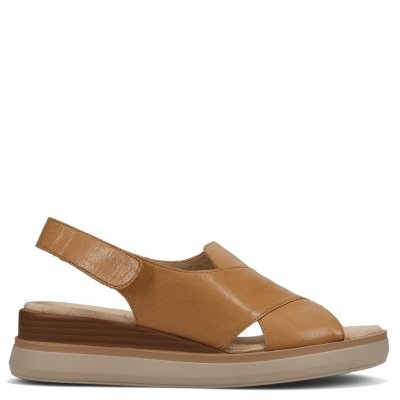 Downloaded from Shopify for use with Vendor ID (1510) and Product ID (10207536120099). Downloaded from Shopify for use with Vendor ID (1510) and Product ID (10207536120099).