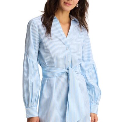 Crisp Cotton Pinstripe Dress