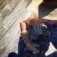 Downloaded from Shopify for use with Vendor ID (174) and Product ID (10357028847935).