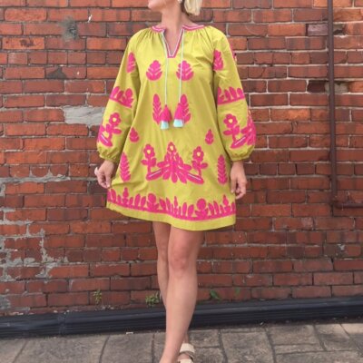Ivy Jane Bold & Bright Appliqué Dress