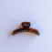 Downloaded from Shopify for use with Vendor ID (1528) and Product ID (8564108558471).