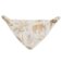 Downloaded from Shopify for use with Vendor ID (32) and Product ID (9068950519939).