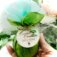 Downloaded from Shopify for use with Vendor ID (206) and Product ID (9331474399540).