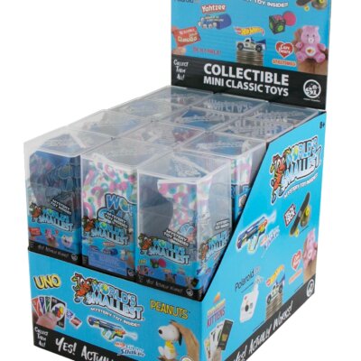 World's Smallest Mystery Box Capsule