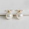 Downloaded from Shopify for use with Vendor ID (174) and Product ID (10371313566015).