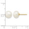 Downloaded from Shopify for use with Vendor ID (1323) and Product ID (10168105763123).