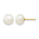 Downloaded from Shopify for use with Vendor ID (1323) and Product ID (10168105763123).