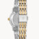 Downloaded from Shopify for use with Vendor ID (1323) and Product ID (10181827199283).