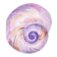 Downloaded from Shopify for use with Vendor ID (26) and Product ID (10520846270742).