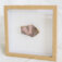 Downloaded from Shopify for use with Vendor ID (721) and Product ID (10113267663168).