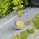 Downloaded from Shopify for use with Vendor ID (75) and Product ID (8275019071554).