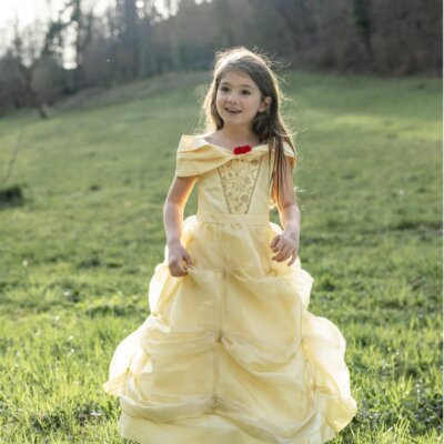 Belle Costume Dress