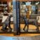 Downloaded from Shopify for use with Vendor ID (124) and Product ID (11036661612711).