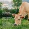 Downloaded from Shopify for use with Vendor ID (206) and Product ID (9337575932212).