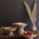Downloaded from Shopify for use with Vendor ID (199) and Product ID (9895539540262).