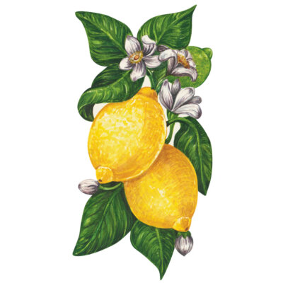 Table Accents - Lemon