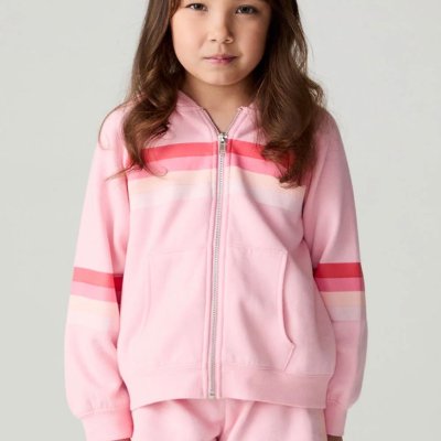 Multi Stripe Zip Up Hoodie