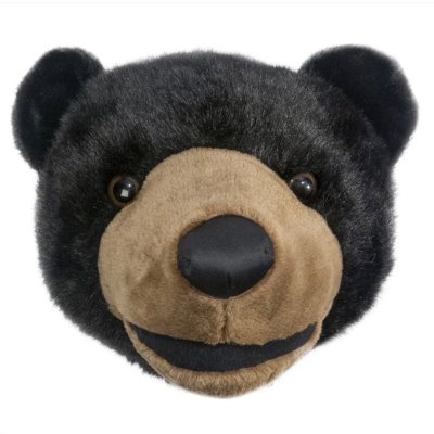 Black Bear Large Trophy Head