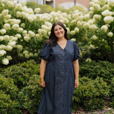 Clara Pinstripe Denim Button Up Dress