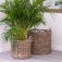 Downloaded from Shopify for use with Vendor ID (199) and Product ID (9288627093798).