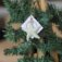 Downloaded from Shopify for use with Vendor ID (15) and Product ID (9298524537082).