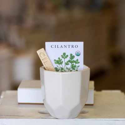 Ceramic Planter Gift Set