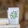 Downloaded from Shopify for use with Vendor ID (15) and Product ID (9322694246650).