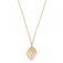 Downloaded from Shopify for use with Vendor ID (129) and Product ID (9273902924002).