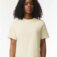 Downloaded from Shopify for use with Vendor ID (26) and Product ID (10406602670358).