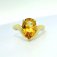 Downloaded from Shopify for use with Vendor ID (1323) and Product ID (10338278244659).