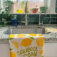 Downloaded from Shopify for use with Vendor ID (841) and Product ID (10593479393558).
