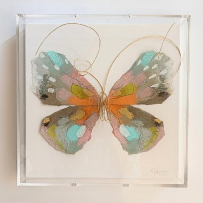 Butterfly Taxidermy II | Elisabeth Hays