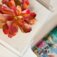 Downloaded from Shopify for use with Vendor ID (721) and Product ID (10174561878336).