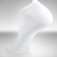Downloaded from Shopify for use with Vendor ID (369) and Product ID (10031356903671).