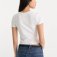 Downloaded from Shopify for use with Vendor ID (1510) and Product ID (10333247340835).