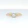 Downloaded from Shopify for use with Vendor ID (1323) and Product ID (10388951040307).