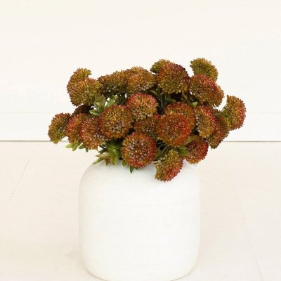 Auburn Dahlia Bundle